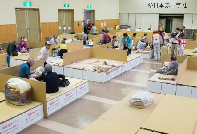 P5 1b 段ボールベッドを設置（日赤提供） - 日本赤十字社の「平成の災害と赤十字」展