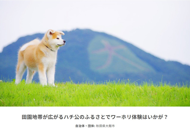 P1 秋田県大館市「田園地帯が広がるハチ公のふるさとでワーホリ体験はいかが？」 - 防災で「関係人口」拡大＝地方創生へ